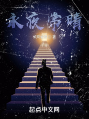 永夜常晴在线阅读
