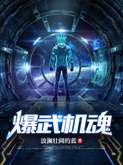 爆武机魂在线阅读