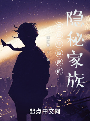 雾区里崛起的隐秘家族在线阅读