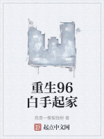 重生96白手起家封面