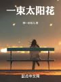 一束太阳花在线阅读