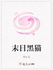 末日黑猫在线阅读