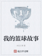 我的篮球故事在线阅读