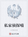 私家侦探猫在线阅读
