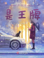 开局就是王牌在线阅读