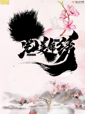 完美锦绣在线阅读