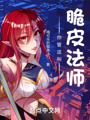 你管这叫脆皮法师