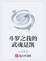 斗罗之我的武魂是凯在线阅读