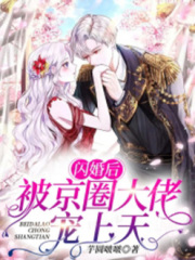 闪婚后，被京圈大佬宠上天