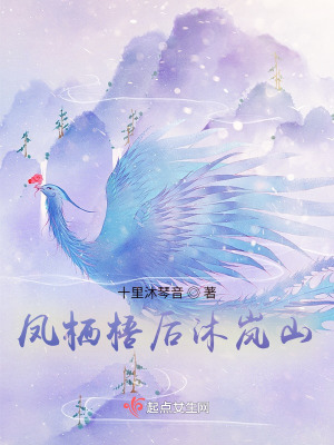 凤栖梧后沐岚山在线阅读