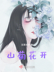 山菊花开