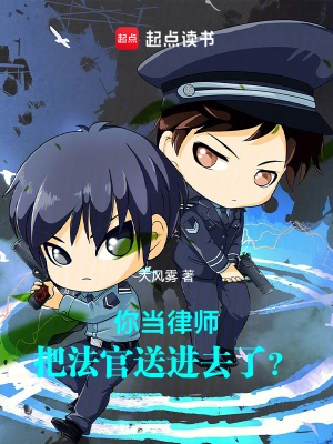 《你当律师，把法官送进去了？》（校对全本）作者：大风雾【TXT】