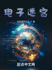 电子迷宫在线阅读