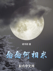 念念何相求在线阅读