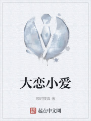 大恋小爱在线阅读