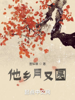 他乡月又圆最新章节在线阅读
