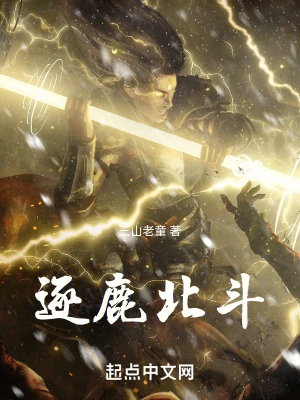 逐鹿北斗