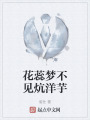 花蕊梦不见炕洋芋在线阅读
