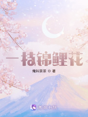 一枝锦鲤花在线阅读