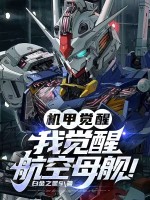 机甲觉醒：我觉醒航空母舰！在线阅读