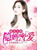 陆先生的隐婚蜜爱在线阅读