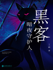 黑客：暗夜守护人在线阅读