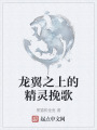龙翼之上的精灵挽歌在线阅读