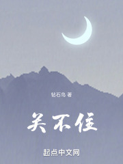 关不住在线阅读