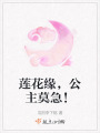 莲花缘，公主莫急！在线阅读