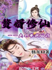 赘婿修仙，夫人求我回府在线阅读