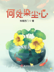 何处染尘心在线阅读