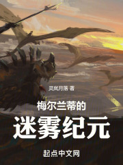 梅尔兰蒂的迷雾纪元在线阅读