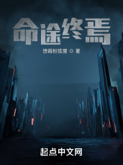 命途终焉在线阅读