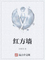 红方墙在线阅读