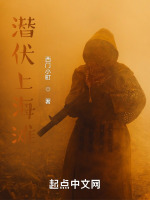 潜伏上海滩在线阅读