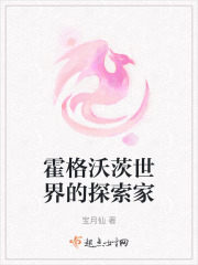 霍格沃茨世界的探索家在线阅读