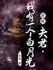错嫁：夫君我有一个白月光