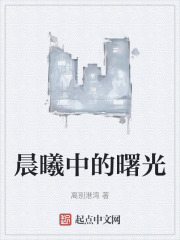 晨曦中的曙光在线阅读