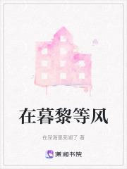 在暮黎等风在线阅读