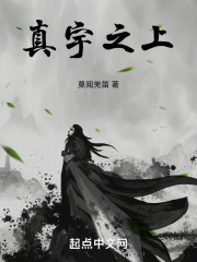 真宇之上在线阅读