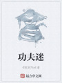 功夫迷在线阅读