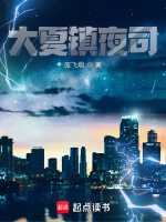 大夏镇夜司封面