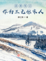 盗墓笔记：作为三无张家人在线阅读
