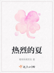 热烈的夏在线阅读