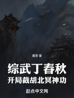 综武丁春秋，开局截胡北冥神功最新章节在线阅读