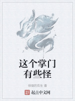 这个掌门有些怪封面