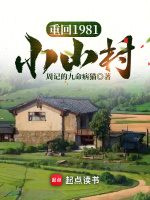 重回1981小山村封面