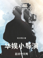华娱小导演封面