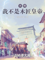大明：我不是木匠皇帝封面