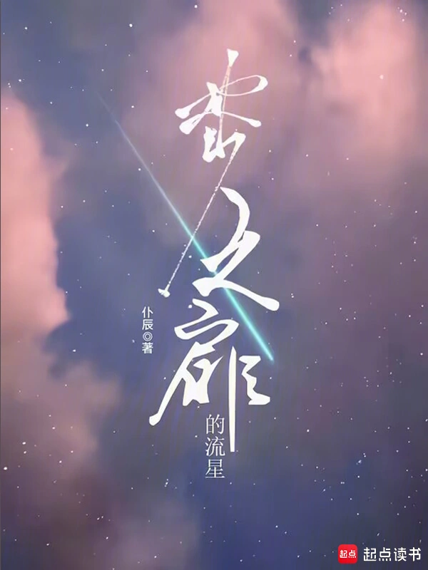 梦之扉的流星